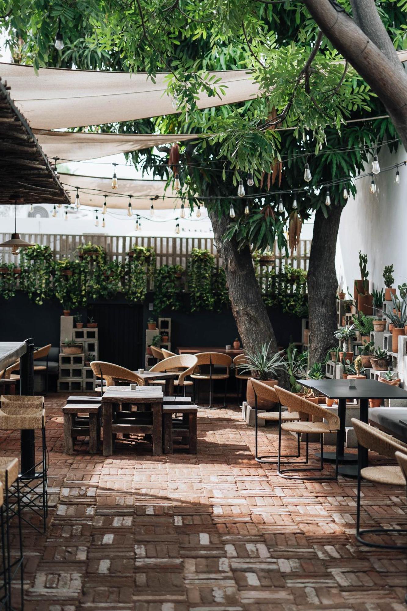 Drift San Jose Del Cabo, A Member Of Design Hotel