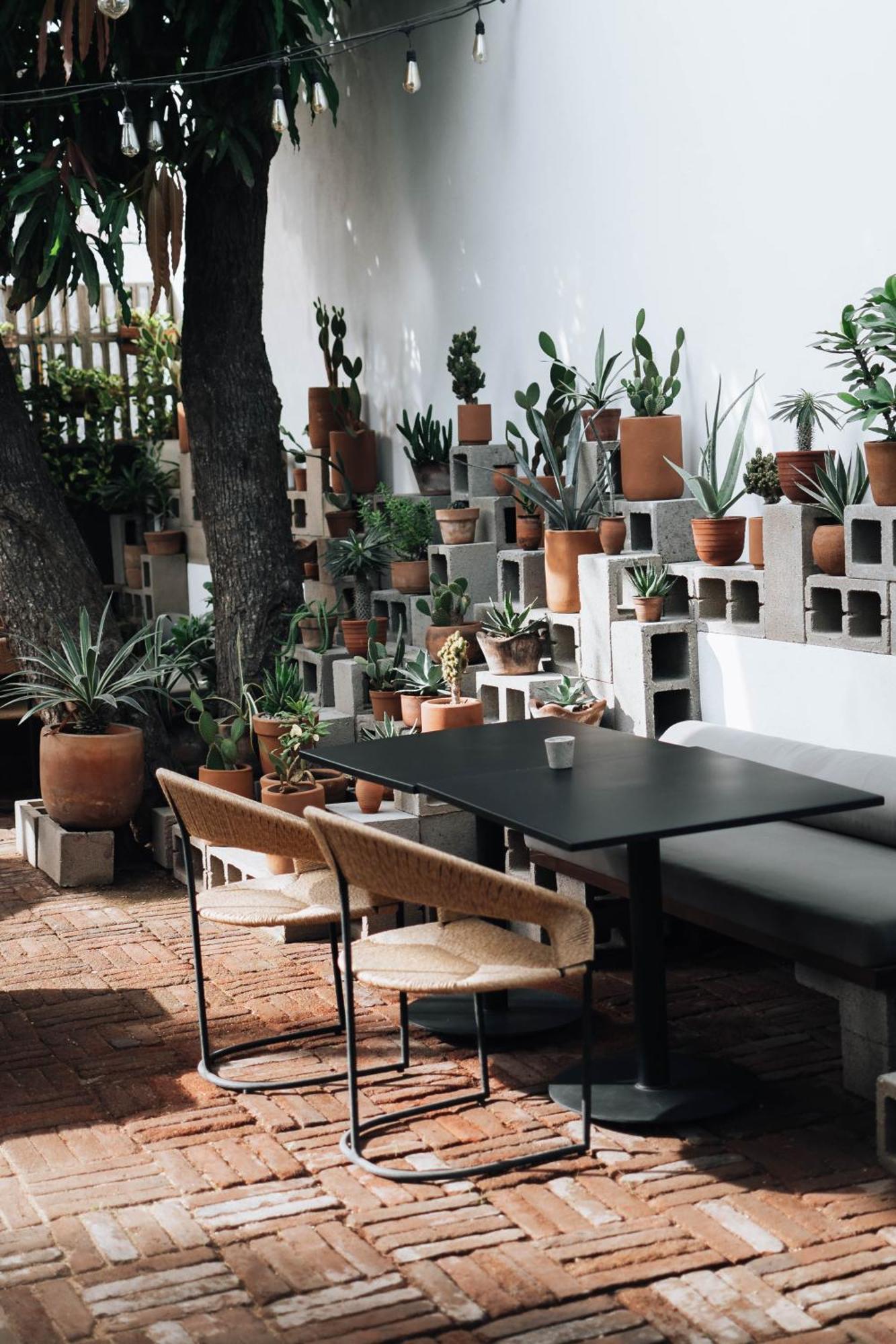 Hotel Drift San Jose Del Cabo, A Member Of Design